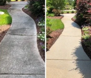 Image of a concrete before and after Softwash Platoon's concrete cleaning and sealing services