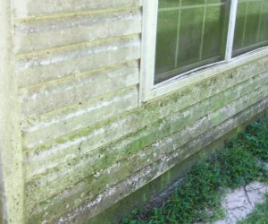 Image of a window before Softwash Platoon's window restoration services